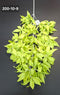 Ramură decorativă artificială verde lime - 90cm