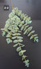 Ramură artificială de eucalipt verde deschis 95cm – Plantă decorativă