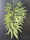 Frunze Decorative Artificiale 100cm Verde Natur – Ramură Tip Eucalipt Lung