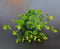 Eucalipt artificial decorativ verde, 46cm