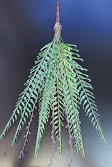 Ramură decorativă artificială tip ferigă – model curgător cu frunze fine și detalii mov