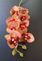 Orhidee artificială mini Phalaenopsis 80cm galben-roșu cu model exotic