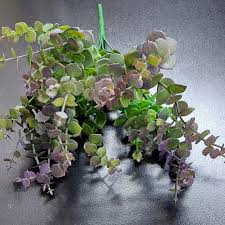 Flori din plastic F245