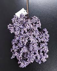 Flori din plastic F265