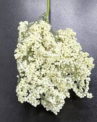 Flori din plastic F266