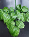 Set 12 ramuri decorative artificiale cu frunze late lucioase – verde intens, textură tropicală