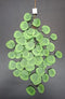 Eucalipt Artificial Verde Intens 60cm – Set 12 Fire Decorative