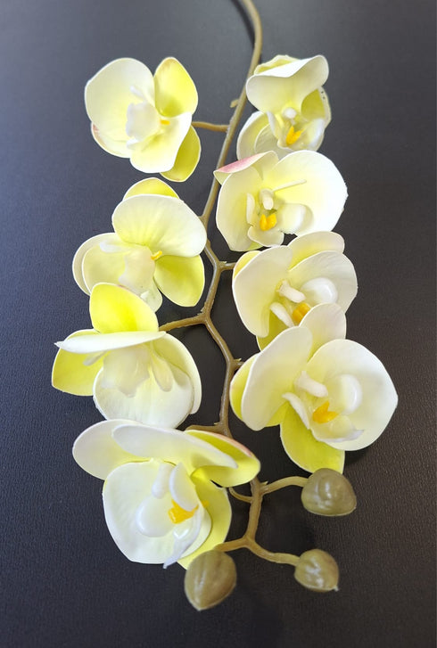 Orhidee artificială mini Phalaenopsis 80cm alb-verde cu accente galben deschis
