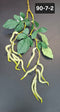 Ramură decorativă Amaranthus curgător verde, 80cm