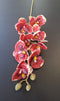 Orhidee artificială mini Phalaenopsis 80cm roșu intens cu margini crem