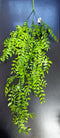Floare Curgătoare Decorativă 100 cm – Model Lucios cu Aspect Natural Dens