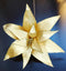 Flori Crăciun artificiale aurii 10/set – flori decorative lux