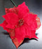 Crăciunițe artificiale roșii – flori decorative festive 24/set