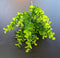 Verdeață artificială decorativă cu frunze rotunjite, 33cm – aspect natural