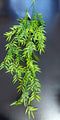 Floare Curgătoare Decorativă 100 cm – Model Fin cu Aspect Natural
