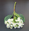 Fir Hortensie artificială alba – 32cm