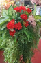 Buchet decorativ cu trandafiri roz și orhidee