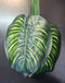 Frunze Artificiale Tropicale 47cm - 20/set
