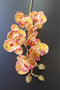 Orhidee artificială mini Phalaenopsis 80cm galben cu model nervurat roșu