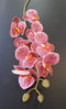 Orhidee artificială mini Phalaenopsis 80cm alb-roz cu model punctat bordo