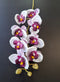 Orhidee artificială mini Phalaenopsis 80cm alb cu centru mov intens