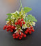 Verdeață artificială decorativă cu bobițe roșii, 35cm – aspect natural