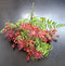 Verdeață artificială decorativă mixtă, 32cm – aspect natural bogat