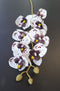 Orhidee artificială mini Phalaenopsis 80cm alb cu pete bordo și centru închis