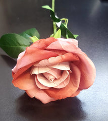 Fir Trandafir artificial material textil maro 50cm