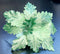 Crăciunițe artificiale verde mentă – flori decorative festive 10/set