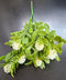 Buchet Artificial Verde cu Flori Decorative Albe 30cm – Frunziș pentru Aranjamente