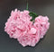 Buchet cu hortensii artificiale roz deschis, flori mari 52cm