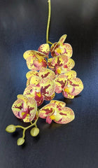 Mini Orhidee artificială galbenă cu pete roșii și accente roz – 20cm, decorativă realistă