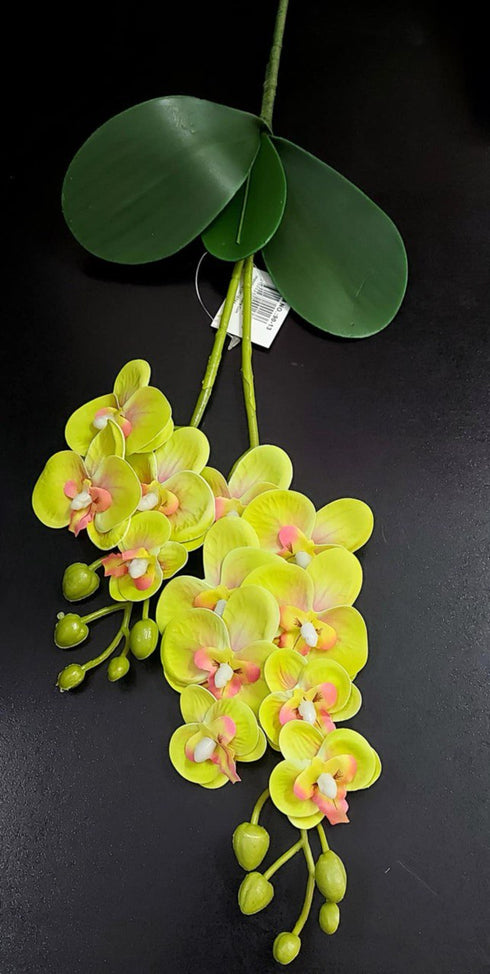 Mini orhidee artificială din silicon, verde lime cu roz – Real Touch, 30 cm
