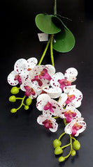 Mini orhidee artificială din silicon, alb cu pete mov – Real Touch, 30 cm