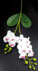 Mini orhidee artificială din silicon, alb cu accente roz – Real Touch, 30 cm