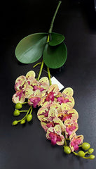 Mini orhidee artificială din silicon, galben crem cu pete roșii – Real Touch, 30 cm