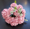 Buchet flori artificiale crizanteme roz pudrat – 30cm, flori mici, aspect pufos și elegant