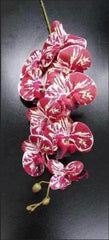 Orhidee artificială roșie cu accente albe – 100 cm, floare decorativă realistă
