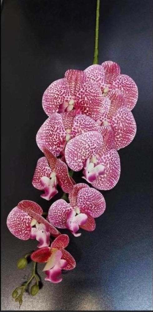 Orhidee artificială roz-roșu cu petale punctate – 100 cm, floare decorativă realistă