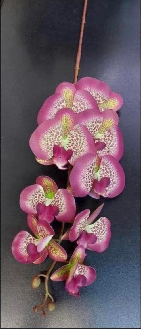 Orhidee artificială fucsia cu model punctat – 100 cm, floare decorativă realistă