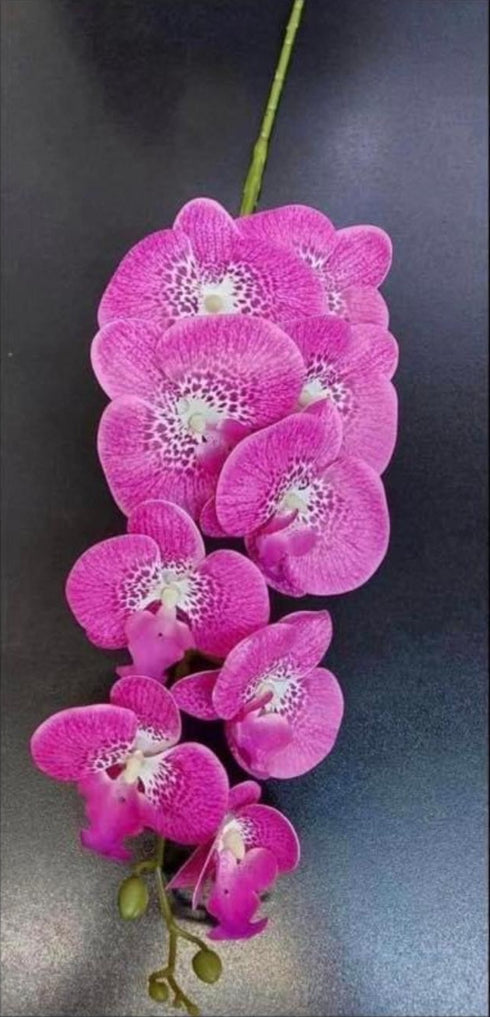 Orhidee artificială roz intens cu puncte albe – 100 cm, floare decorativă realistă