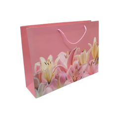 Lve Pungi Cadou 44*31*12cm 12buc/set 41-62