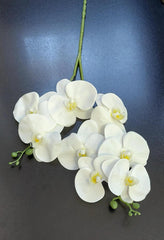 Fir Orhidee Artificială Real Touch Alb-Galben 100cm