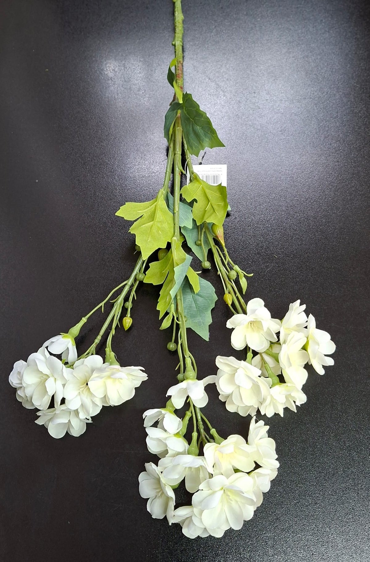 Ramură salcâm artificial ivoire  –  80cm