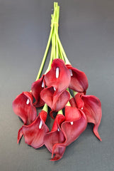 Set 10 cale artificiale din silicon, roșu – 35cm