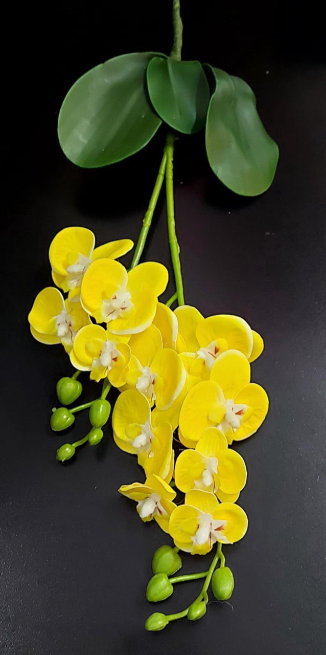Mini orhidee artificială din silicon, galben deschis – Real Touch, 30 cm
