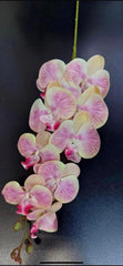 Orhidee artificială crem-roz din silicon – 100 cm, floare decorativă realistă