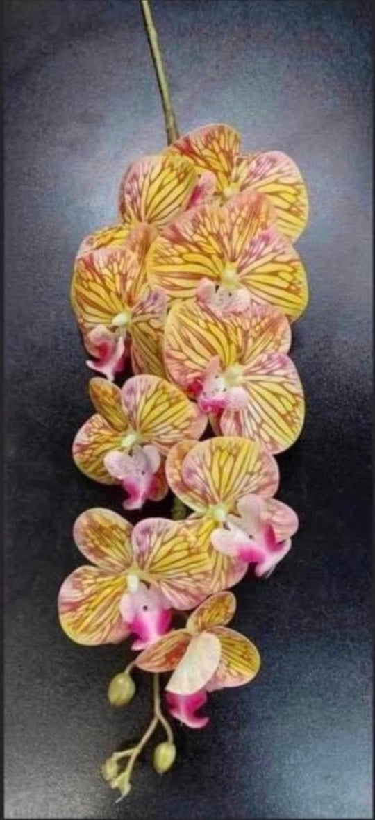 Orhidee artificială galbenă cu dungi roz – 100 cm, floare decorativă realistă