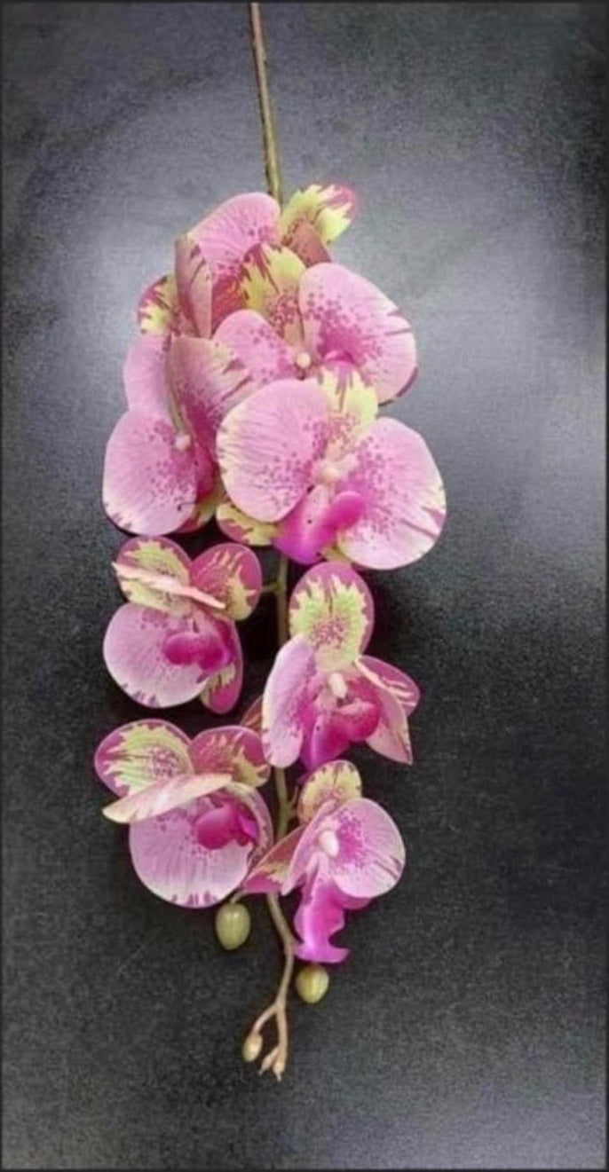 Orhidee artificială roz cu accente galbene – 100 cm, floare decorativă realistă